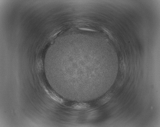 X0000078840459200611131153