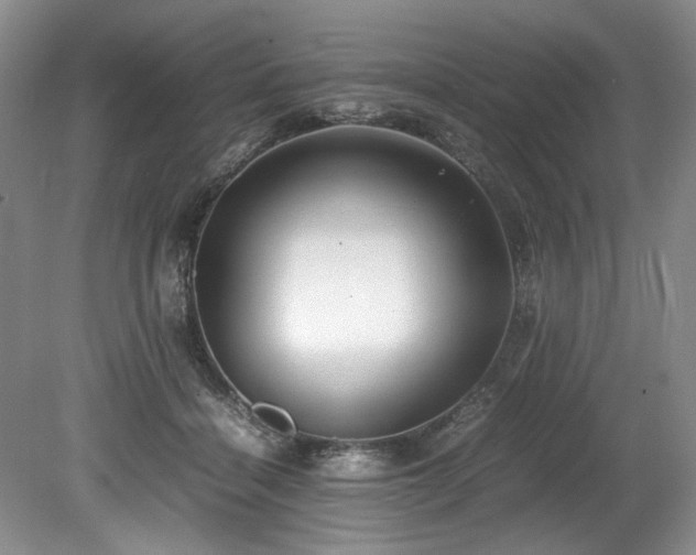 X0000078840460200611131153