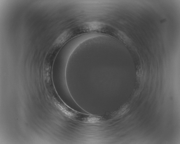 X0000078840462200611131153