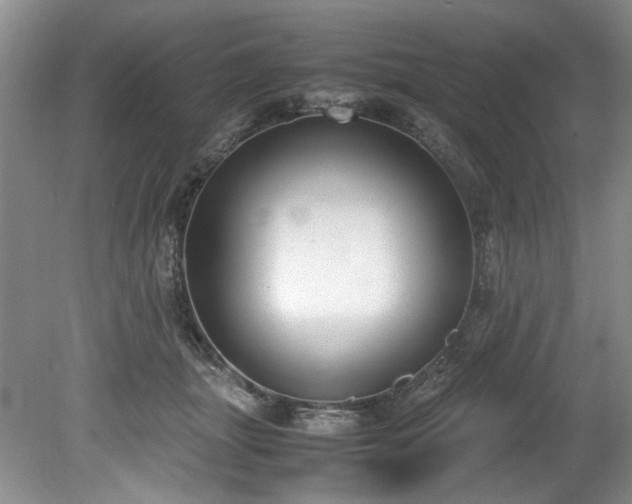 X0000078840463200611131153