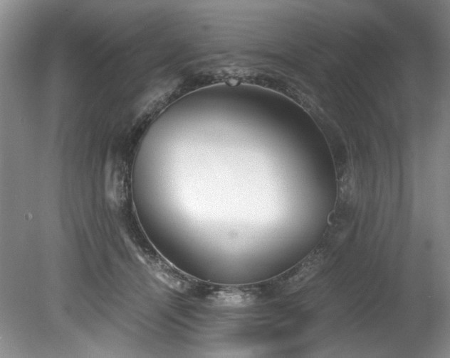 X0000078840464200611131153