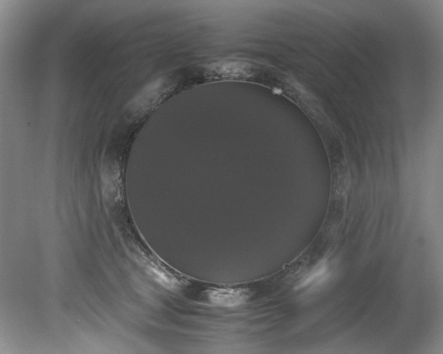 X0000078840465200611131153