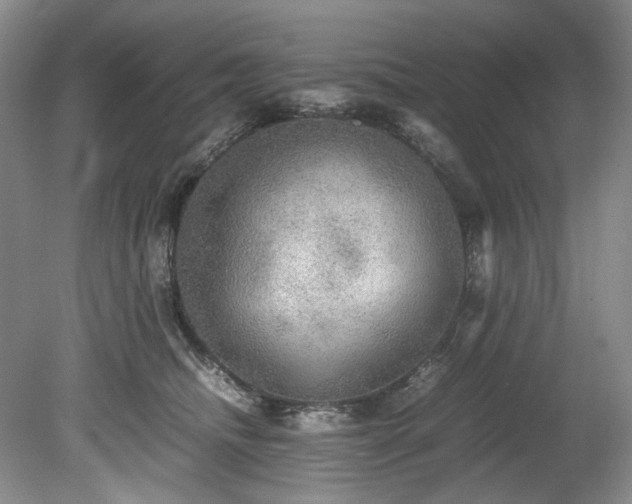 X0000078840468200611131153