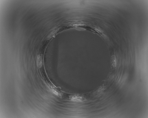 X0000078840471200611131153