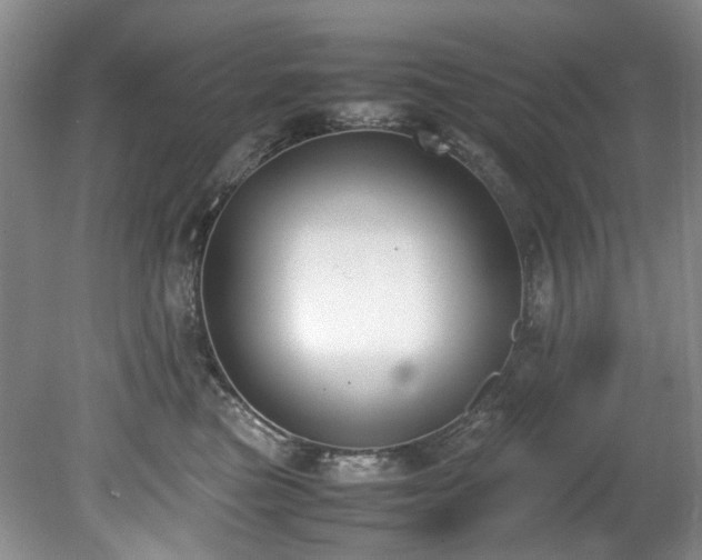 X0000078840473200611131153