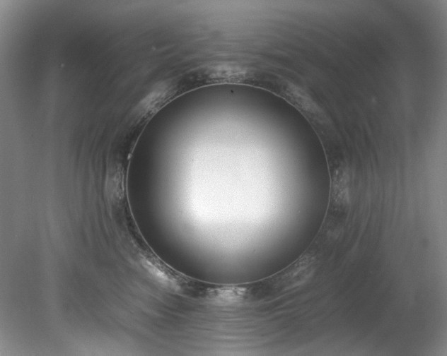 X0000078840474200611131153