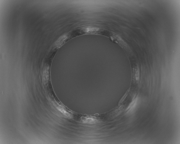 X0000078840475200611131153