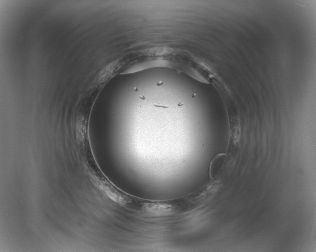 X0000078840476200611131153