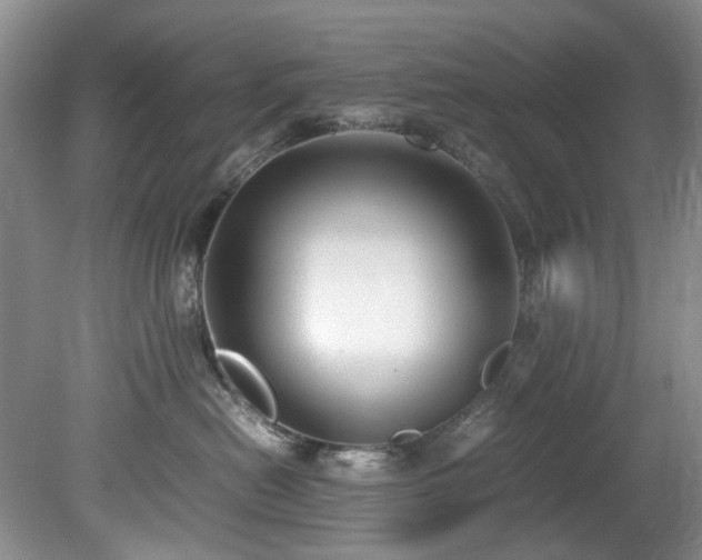 X0000078840478200611131153