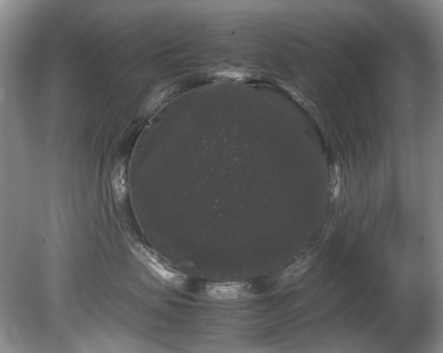 X0000078840479200611131153