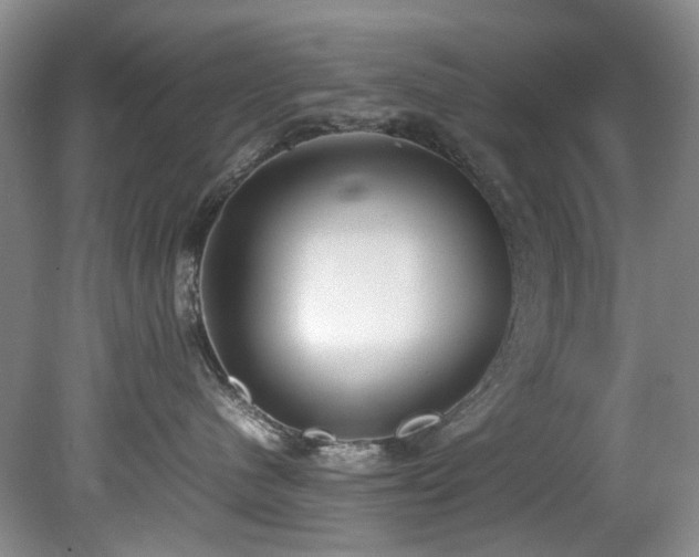 X0000078840480200611131153