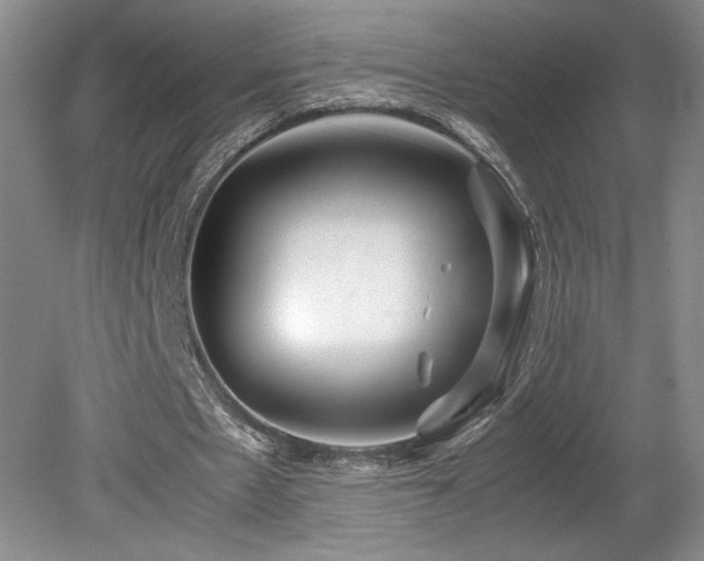 X0000078840481200611131153