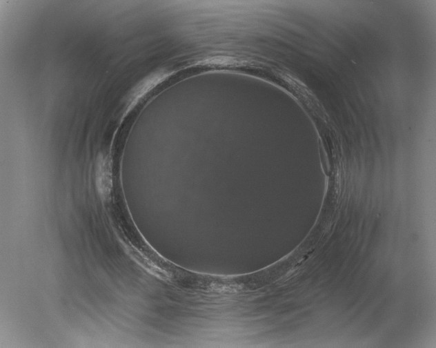 X0000078840484200611131152