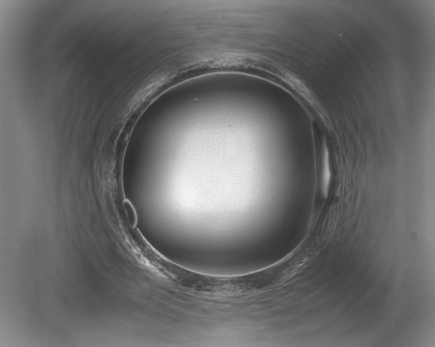 X0000078840485200611131152