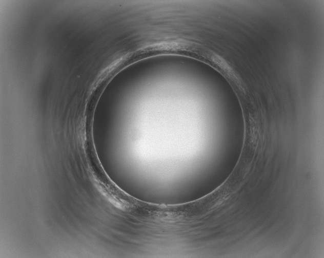 X0000078840486200611131152