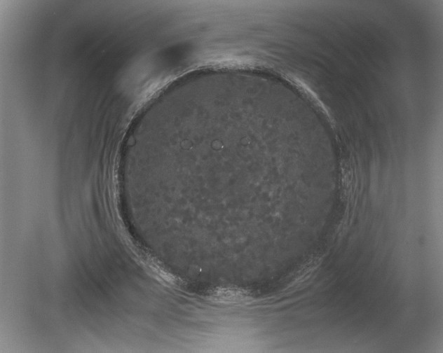 X0000078840487200611131152