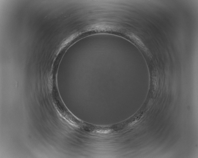 X0000078840488200611131152