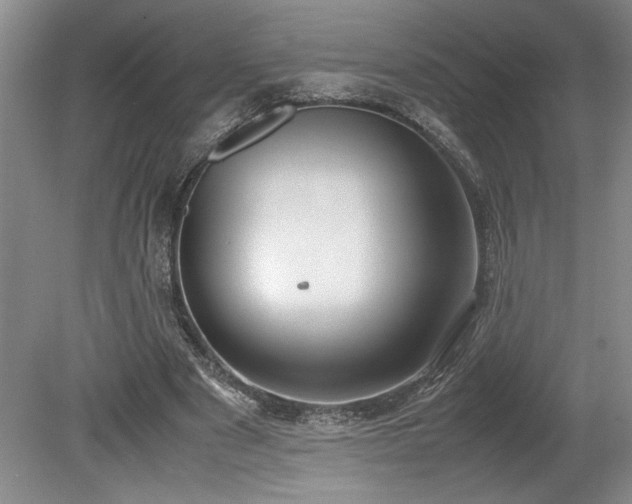 X0000078840489200611131152