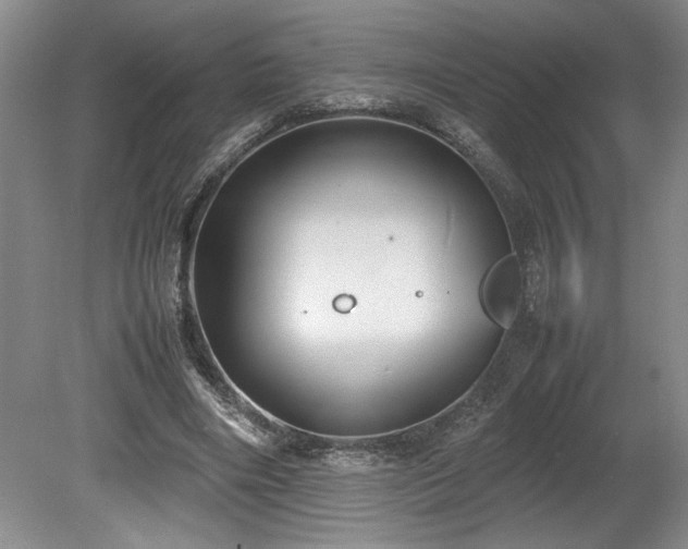 X0000078840490200611131152