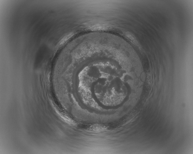 X0000078840491200611131152