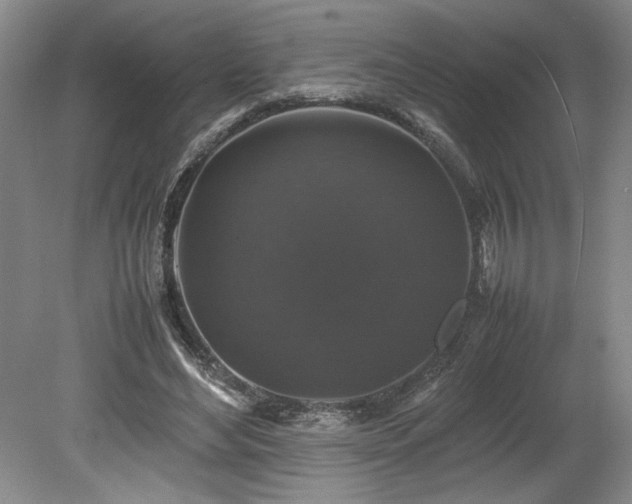 X0000078840492200611131152