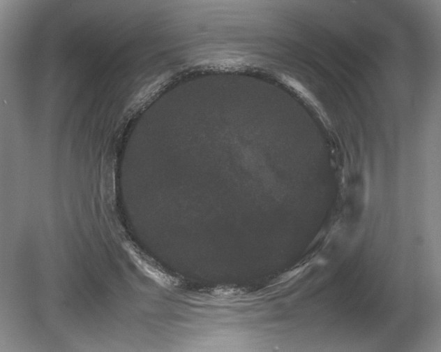 X0000078840493200611131152