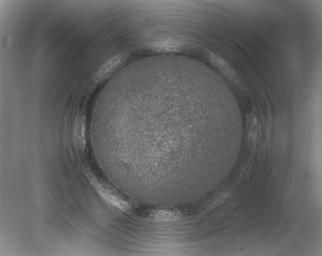 X0000078840494200611131152