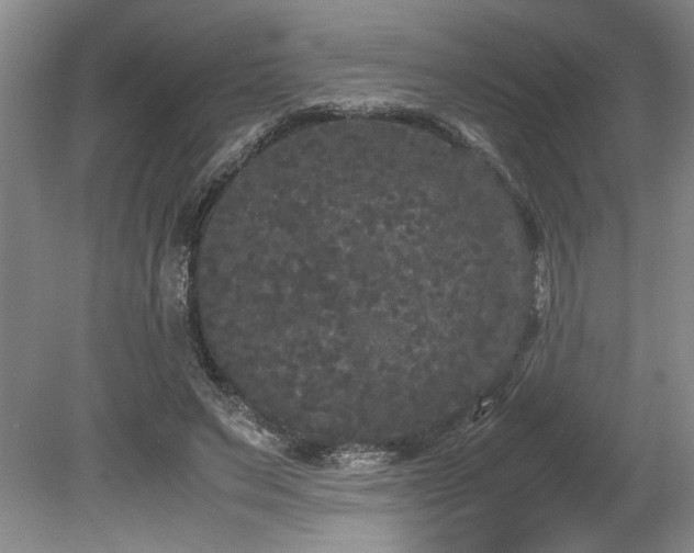 X0000078840495200611131152