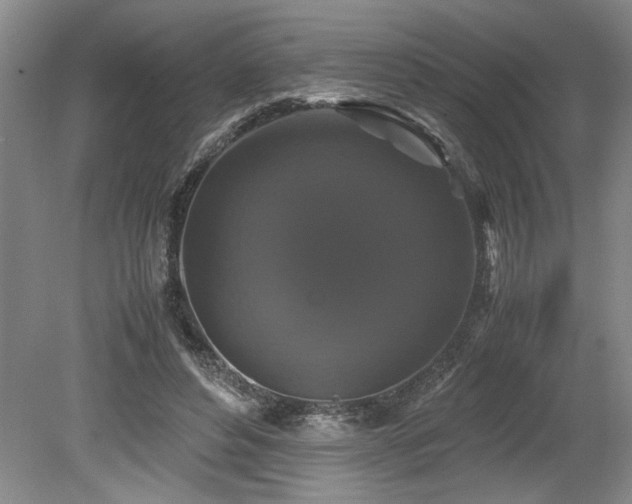 X0000078840496200611131152