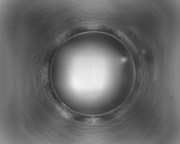 X0000078840497200611131152