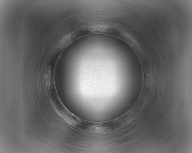 X0000078840498200611131152