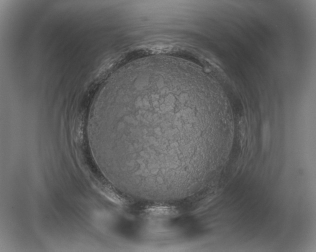 X0000078840499200611131152