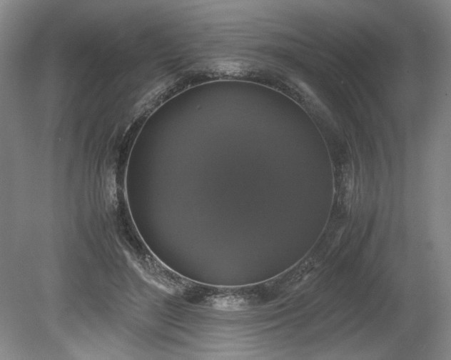 X0000078840500200611131152