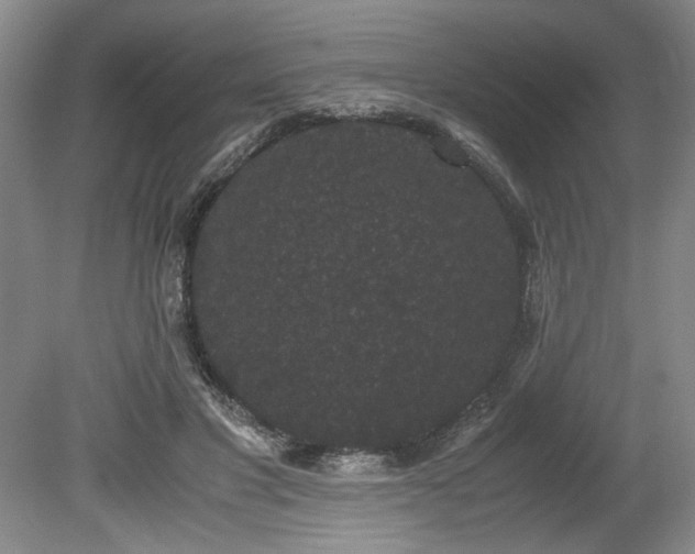 X0000078840501200611131152