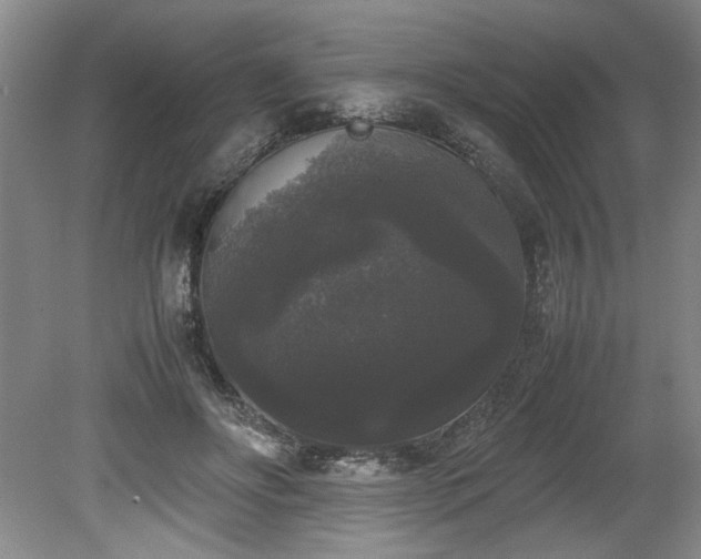 X0000078840502200611131152