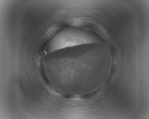 X0000078840503200611131152