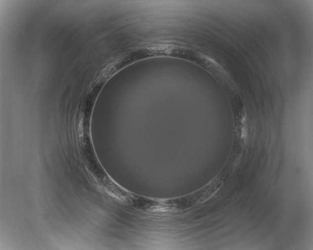 X0000078840504200611131152