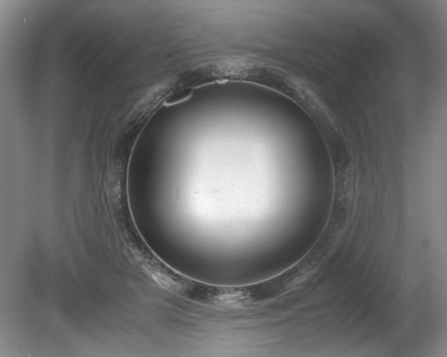 X0000078840505200611131152