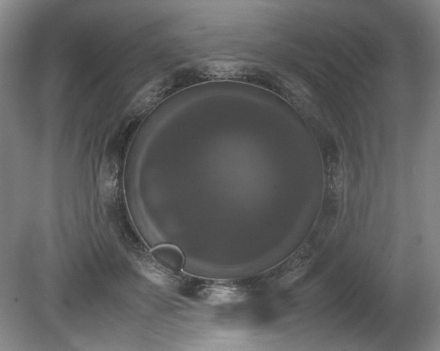 X0000078840507200611131152