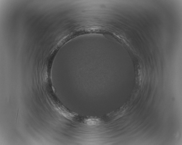 X0000078840508200611131152