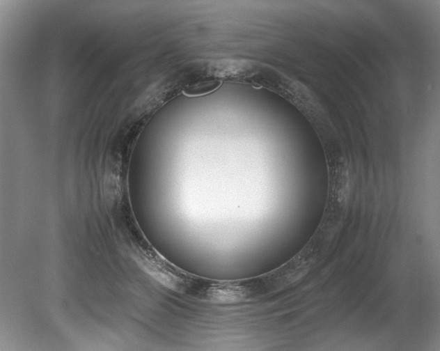 X0000078840510200611131152