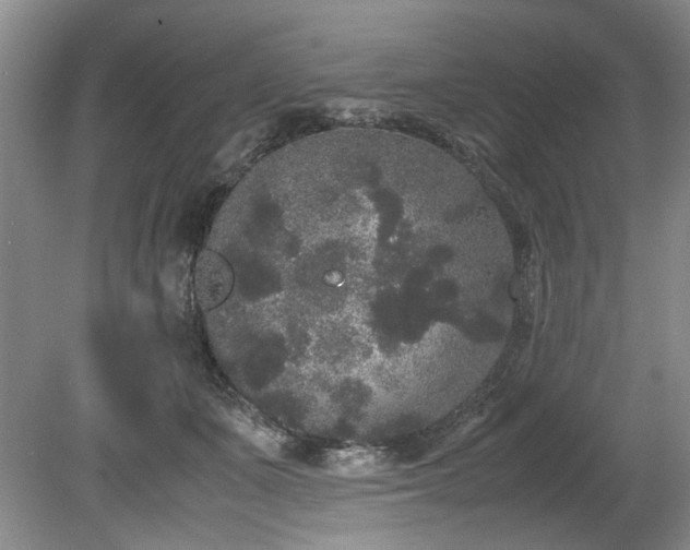 X0000078840511200611131152