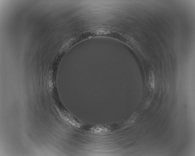 X0000078840512200611131152