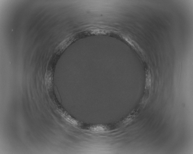 X0000078840513200611131152