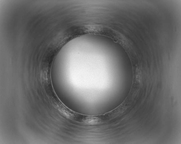 X0000078840514200611131152