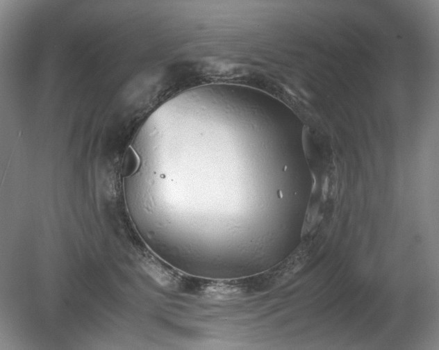 X0000078840515200611131152