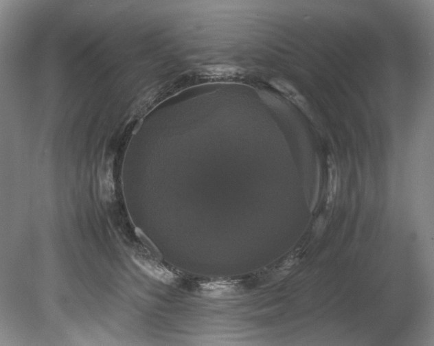 X0000078840516200611131152