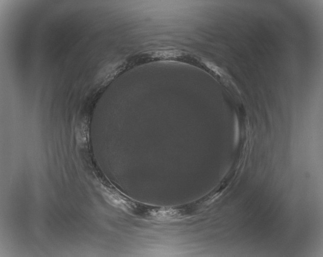 X0000078840517200611131152