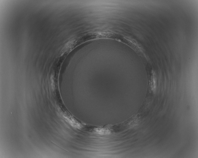 X0000078840520200611131152