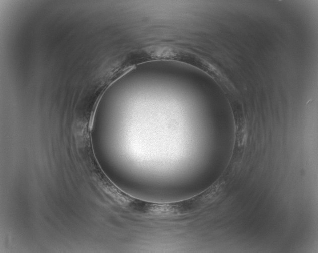 X0000078840521200611131152